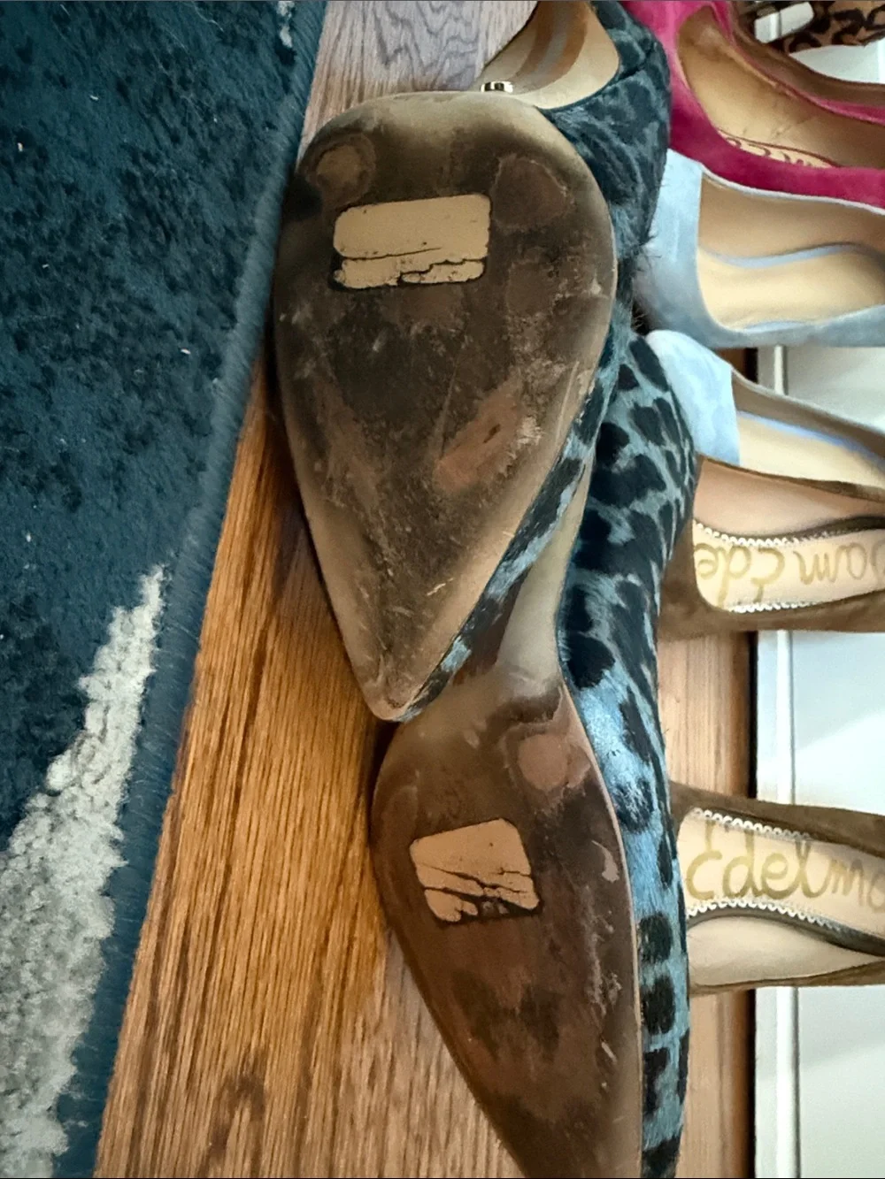 Sam Edelman Pointed Toe Pumps in Leopard, Hot Pink, Light Blue, Olive and Slate